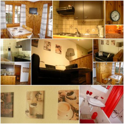 appartement  louer Tzoumaz