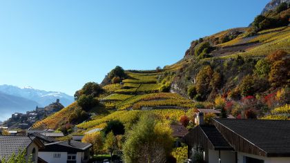 Vue depuis la terrasse