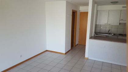 650-11