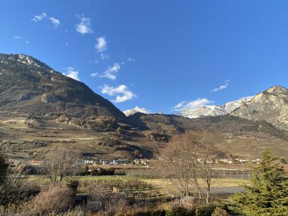 IMG-6932