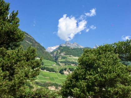 vue-1-du-balcon-(1)