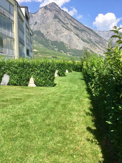 ag-jardin-1-(1)