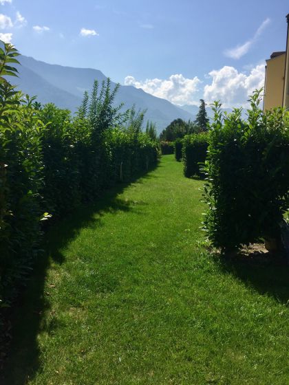ag-jardin-2-(1)