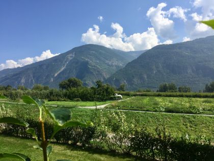 Galleries/test-5.jpg