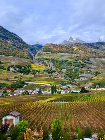 Galleries/vue-vignes-2.jpg